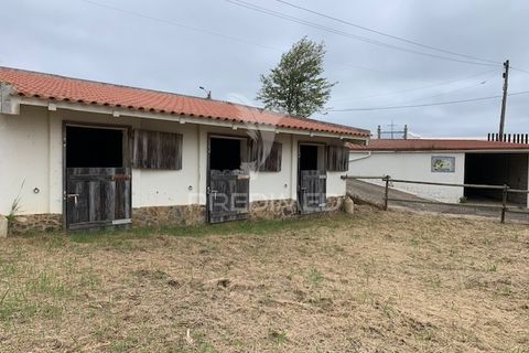Erhvervsejendom i Silves, Faro, Silves - € 270.000 | Ref: 052034 - foto 12
