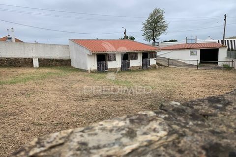 Erhvervsejendom i Silves, Faro, Silves - € 270.000 | Ref: 052034 - foto 17