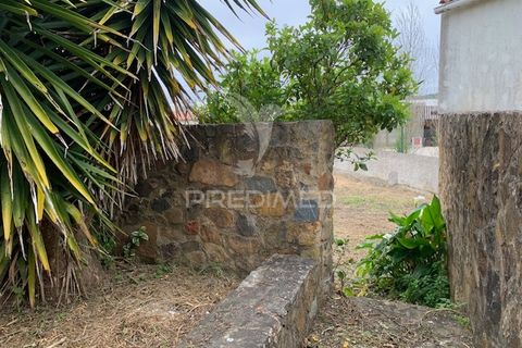 Erhvervsejendom i Silves, Faro, Silves - € 270.000 | Ref: 052034 - foto 19