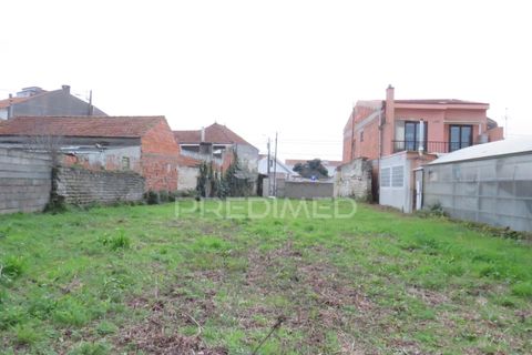 Helårsgrund i Vagos, Aveiro, Vagos - € 99.900 | Ref: 052083 - foto 4