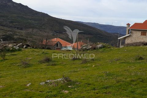 Helårsgrund i Cinfaes, Viseu, Cinfaes - € 75.000 | Ref: 052266 - foto 6