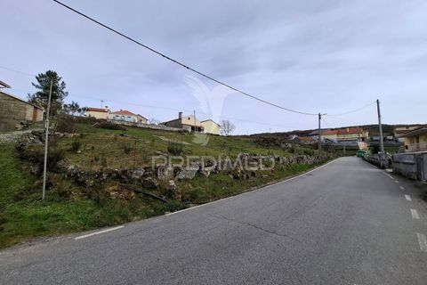 Helårsgrund i Cinfaes, Viseu, Cinfaes - € 75.000 | Ref: 052266 - foto 9