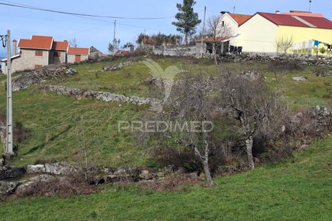 Helårsgrund i Cinfaes, Viseu, Cinfaes - € 75.000 | Ref: 052266 - foto 10