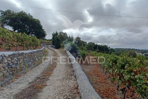 Farm hus i Portalegre, Portalegre, Portalegre - € 450.000 | Ref: 052290 - foto 4