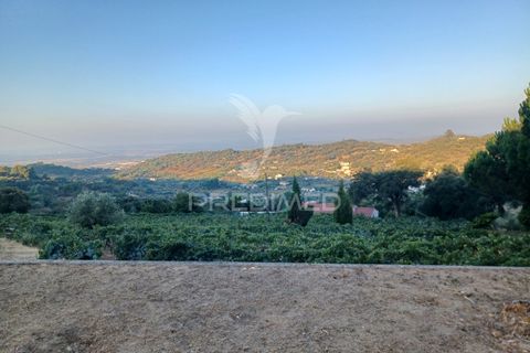 Farm hus i Portalegre, Portalegre, Portalegre - € 450.000 | Ref: 052290 - foto 15