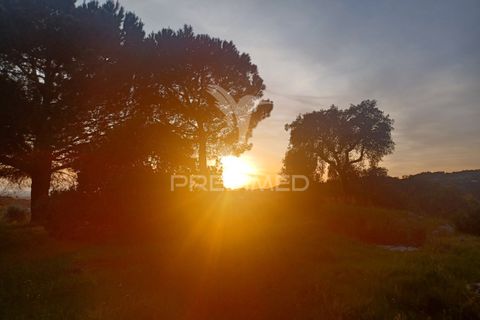 Farm hus i Portalegre, Portalegre, Portalegre - € 450.000 | Ref: 052290 - foto 30