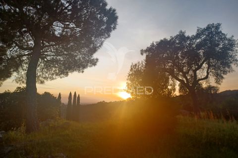Farm hus i Portalegre, Portalegre, Portalegre - € 450.000 | Ref: 052290 - foto 31