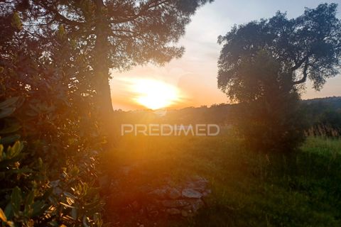 Farm hus i Portalegre, Portalegre, Portalegre - € 450.000 | Ref: 052290 - foto 32