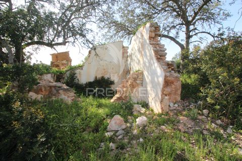 Helårsgrund i Silves, Faro, Silves - € 100.000 | Ref: 052438 - foto 1