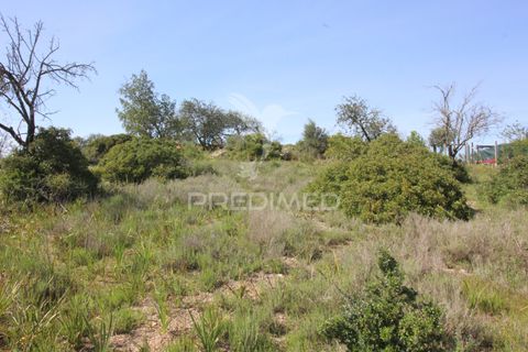 Helårsgrund i Silves, Faro, Silves - € 100.000 | Ref: 052438 - foto 6
