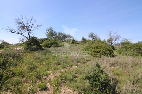 Helårsgrund i Silves, Faro, Silves - € 100.000 | Ref: 052438 - foto 7