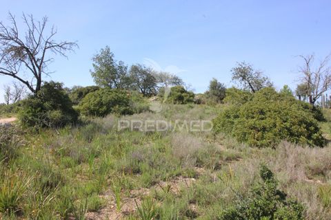 Helårsgrund i Silves, Faro, Silves - € 100.000 | Ref: 052438 - foto 8