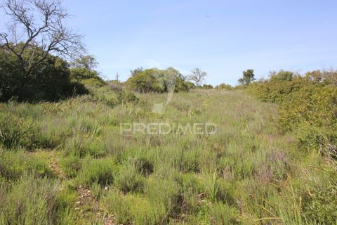 Helårsgrund i Silves, Faro, Silves - € 100.000 | Ref: 052438 - foto 9