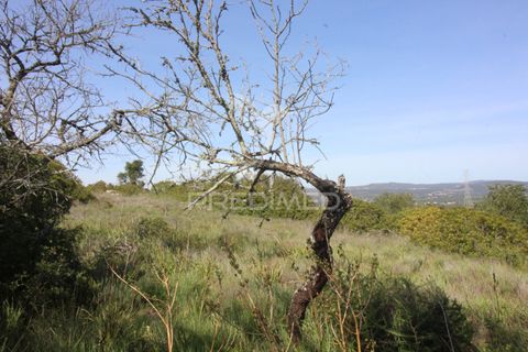 Helårsgrund i Silves, Faro, Silves - € 100.000 | Ref: 052438 - foto 10