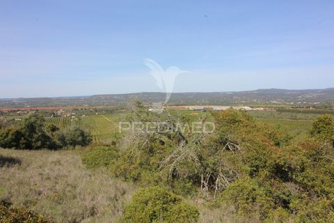 Helårsgrund i Silves, Faro, Silves - € 100.000 | Ref: 052438 - foto 13