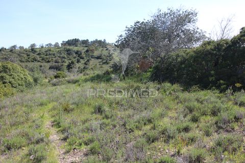 Helårsgrund i Silves, Faro, Silves - € 100.000 | Ref: 052438 - foto 15