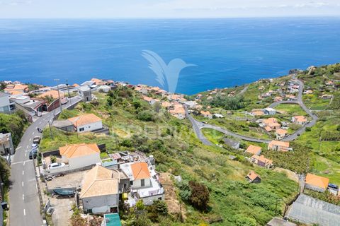 Helårsgrund i Ribeira Brava, Madeira, Ribeira Brava - € 200.000 | Ref: 052752 - foto 4