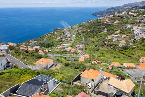 Helårsgrund i Ribeira Brava, Madeira, Ribeira Brava - € 200.000 | Ref: 052752 - foto 6