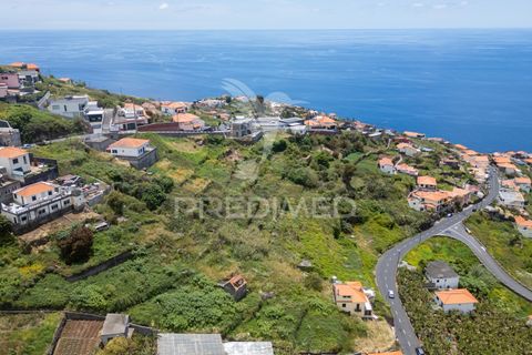 Helårsgrund i Ribeira Brava, Madeira, Ribeira Brava - € 200.000 | Ref: 052752 - foto 7