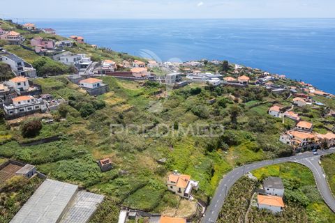 Helårsgrund i Ribeira Brava, Madeira, Ribeira Brava - € 200.000 | Ref: 052752 - foto 8