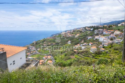 Helårsgrund i Ribeira Brava, Madeira, Ribeira Brava - € 200.000 | Ref: 052752 - foto 9