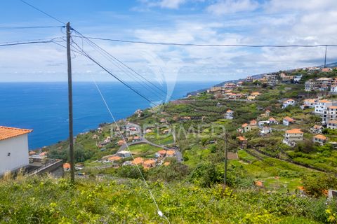 Helårsgrund i Ribeira Brava, Madeira, Ribeira Brava - € 200.000 | Ref: 052752 - foto 10