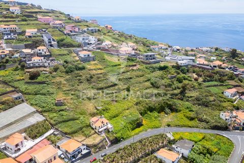 Helårsgrund i Ribeira Brava, Madeira, Ribeira Brava - € 200.000 | Ref: 052752 - foto 11