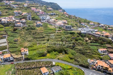 Helårsgrund i Ribeira Brava, Madeira, Ribeira Brava - € 200.000 | Ref: 052752 - foto 12