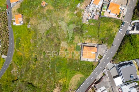 Helårsgrund i Ribeira Brava, Madeira, Ribeira Brava - € 200.000 | Ref: 052752 - foto 17