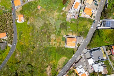 Helårsgrund i Ribeira Brava, Madeira, Ribeira Brava - € 200.000 | Ref: 052752 - foto 18