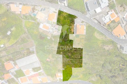 Helårsgrund i Ribeira Brava, Madeira, Ribeira Brava - € 200.000 | Ref: 052752 - foto 19