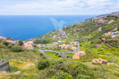 Helårsgrund i Ribeira Brava, Madeira, Ribeira Brava - € 200.000 | Ref: 052752 - foto 21