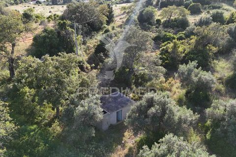 Helårsgrund i Albufeira, Faro, Albufeira - € 120.000 | Ref: 052945 - foto 3