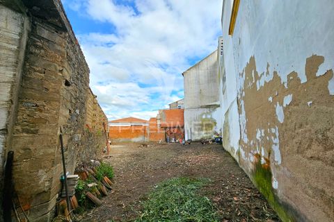 Terra a Castro Verde, Beja, Castro Verde - € 65.000 | Ref: 052987 - foto 7