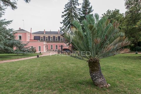 Farm hus i Elvas, Portalegre, Elvas - € 8.500.000 | Ref: 053031 - foto 22