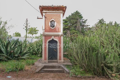 Farm hus i Elvas, Portalegre, Elvas - € 8.500.000 | Ref: 053031 - foto 26