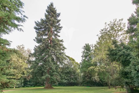 Farm hus i Elvas, Portalegre, Elvas - € 8.500.000 | Ref: 053031 - foto 27