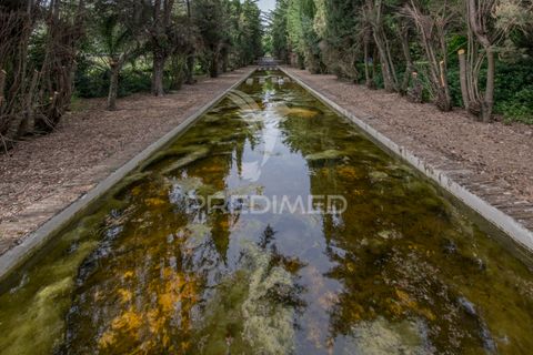 Farm hus i Elvas, Portalegre, Elvas - € 8.500.000 | Ref: 053031 - foto 32