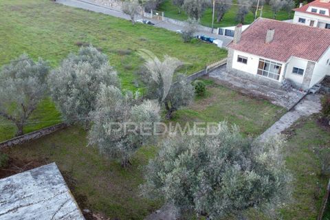 Byhus i Celorico da Beira, Guarda, Celorico da Beira - € 135.000 | Ref: 053196 - foto 5
