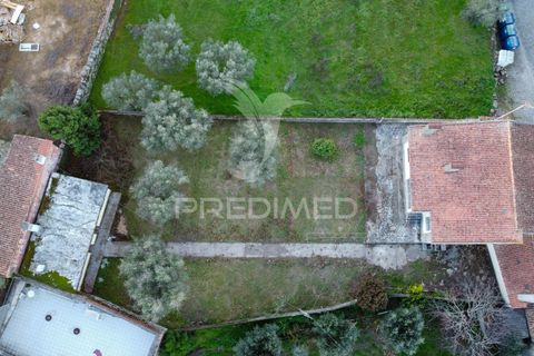 Byhus i Celorico da Beira, Guarda, Celorico da Beira - € 135.000 | Ref: 053196 - foto 28