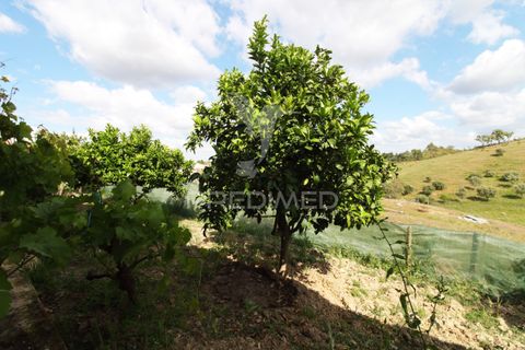 Farm hus i Odemira, Beja, Odemira - € 375.000 | Ref: 053267 - foto 29