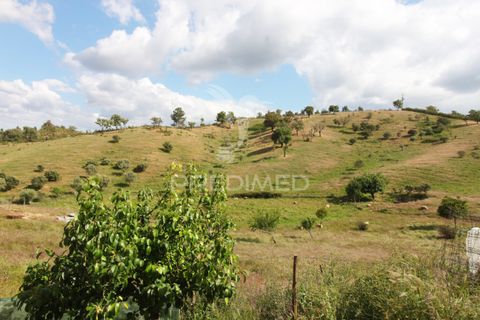 Farm hus i Odemira, Beja, Odemira - € 375.000 | Ref: 053267 - foto 30