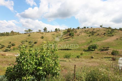 Farm hus i Odemira, Beja, Odemira - € 375.000 | Ref: 053267 - foto 31