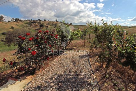Farm hus i Odemira, Beja, Odemira - € 375.000 | Ref: 053267 - foto 32