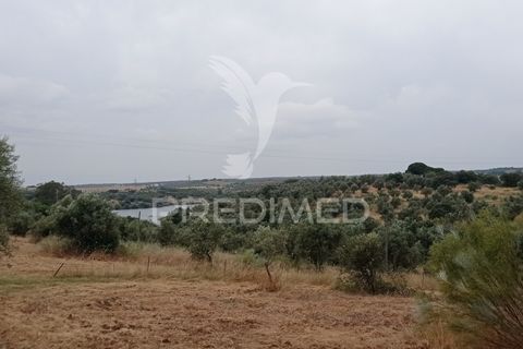 Helårsgrund i Avis, Portalegre, Avis - € 97.000 | Ref: 053362 - foto 1