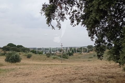 Helårsgrund i Avis, Portalegre, Avis - € 97.000 | Ref: 053362 - foto 5