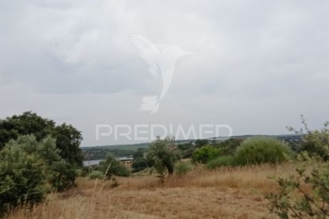Helårsgrund i Avis, Portalegre, Avis - € 97.000 | Ref: 053362 - foto 6