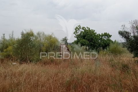 Helårsgrund i Avis, Portalegre, Avis - € 97.000 | Ref: 053362 - foto 9