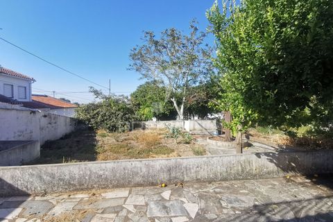 Byhus i Golega, Santarem, Golega - € 420.000 | Ref: 053496 - foto 5