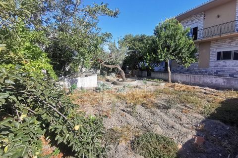 Byhus i Golega, Santarem, Golega - € 420.000 | Ref: 053496 - foto 6